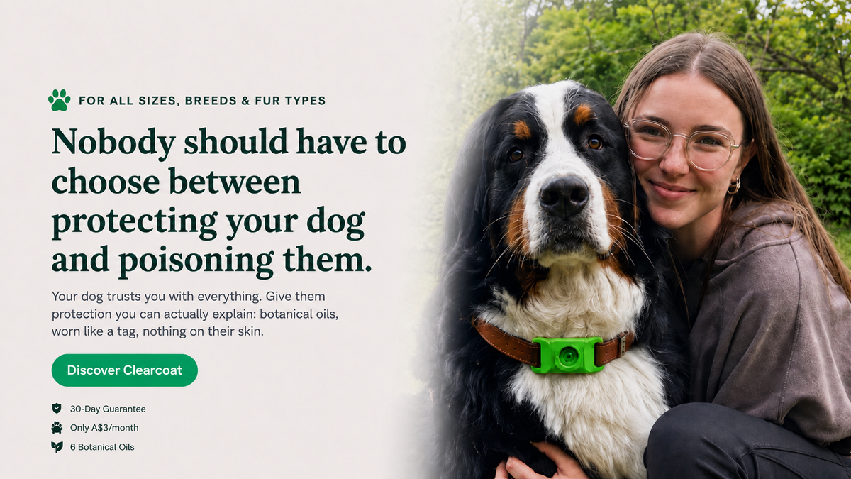 An owner holding her dog wearing the Clearcoat pendant