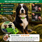 Clearcoat — 12 Months Flea & Tick Free for Dogs. No Pills.