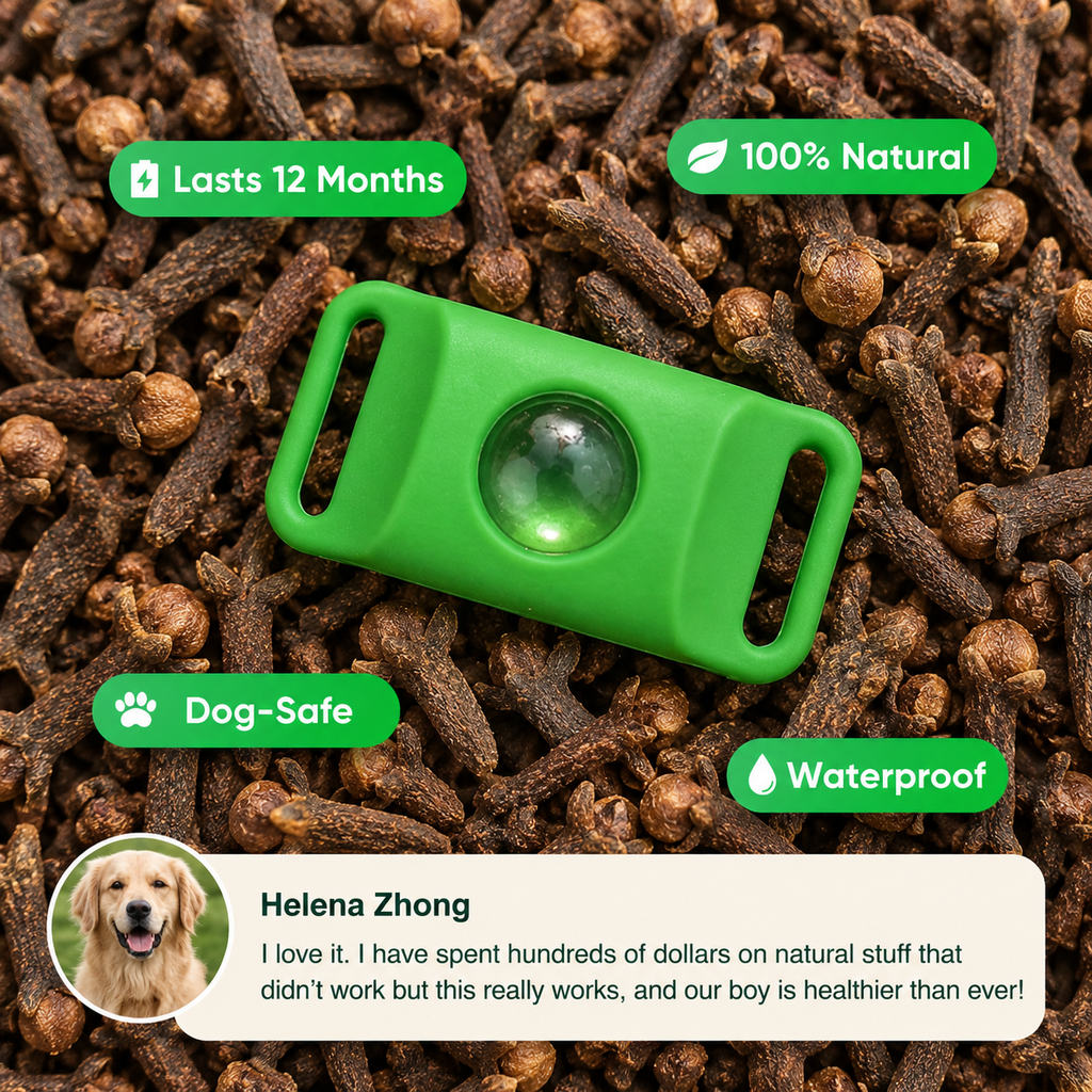 Clearcoat — 12 Months Flea & Tick Free for Dogs. No Pills.