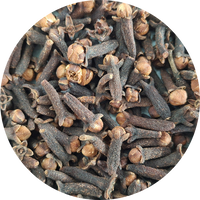 Maluku Clove